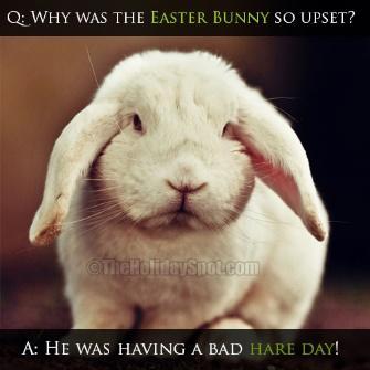 Best Easter Jokes | Easter Jokes for Kids | Easter Jokes and Riddles