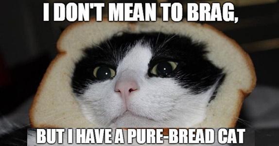 10 Dad Jokes That Are Simply Clawful, Just In Time For Father's ...